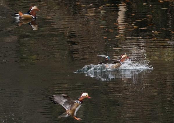 名称未設定 (42 - 74)