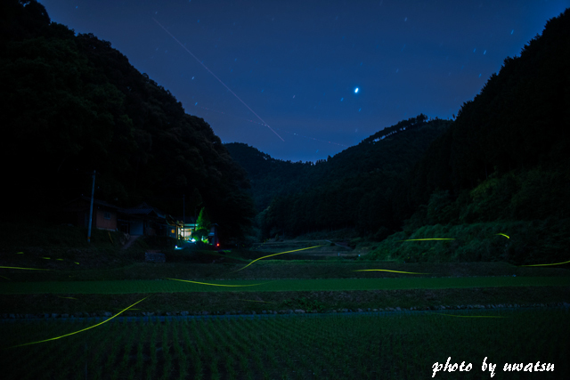 山里に蛍舞う (2)