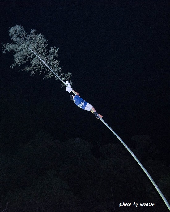 神竹曲がった~ (3)