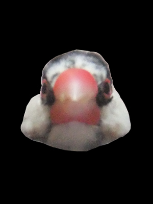 人神自然-7チョッ鼻当て