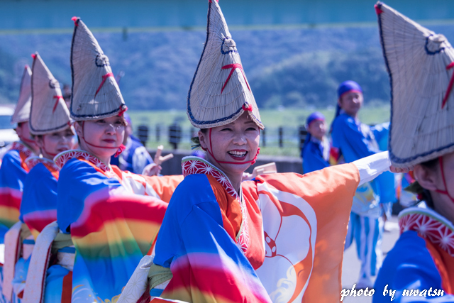 よさこい 四万十 (2)