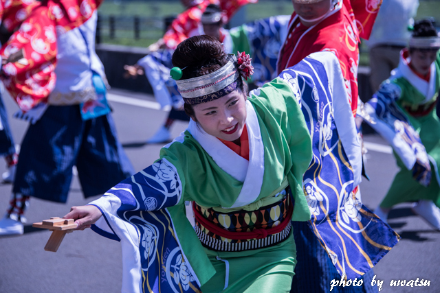 よさこい 四万十 (3)