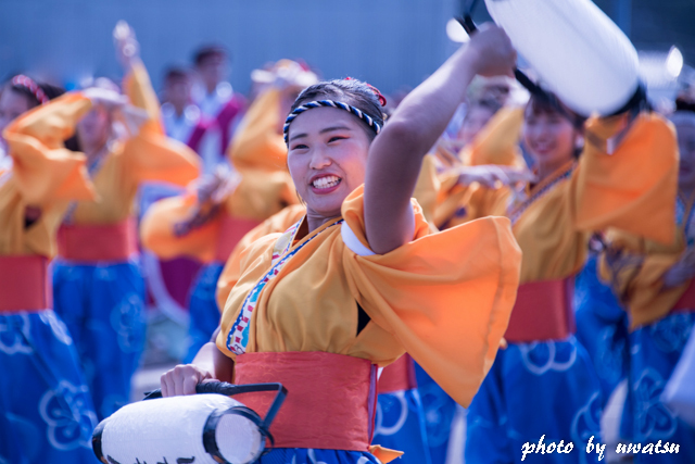 よさこい 四万十 (6)