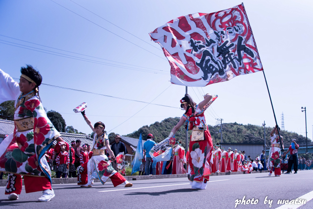 よさこい 四万十 (8)
