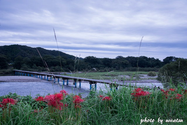 佐田の沈下橋 (1)