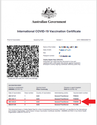International COVID-19 vaccination