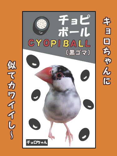 里子-4チョロちゃん