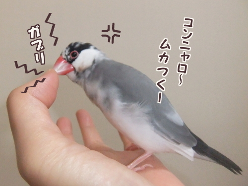 懲罰3-ムカつくーガブ