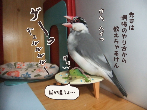 ちゃぶ台返し9-恫喝のやり方