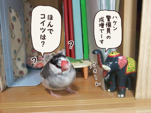 ちゃぶ台返し4-ほんでコイツは?