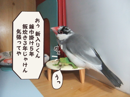 ちゃぶ台返し7-おぅ新入り