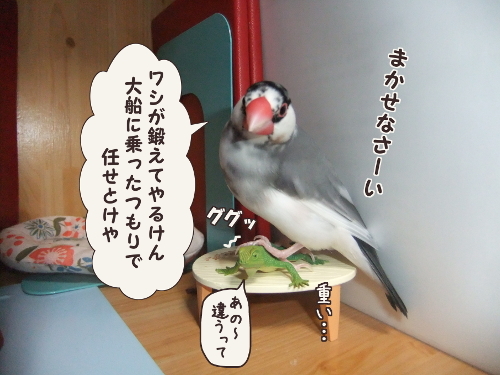 ちゃぶ台返し8-鍛えてやるけん