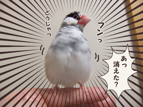 4-消える事もある