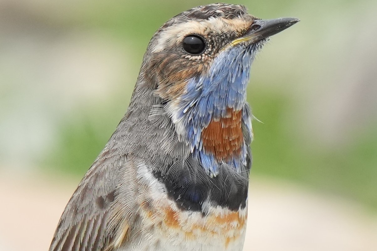 DSC03576ドアップ