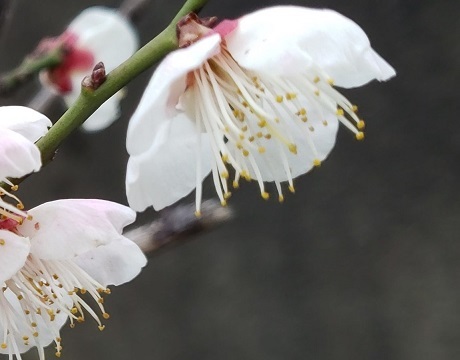 19-02-21-16-25-31-343_photo (2)