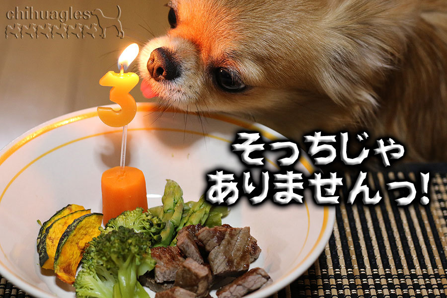 悲しみの谷間に