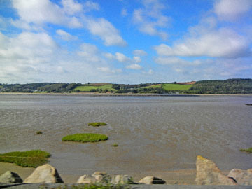 blog (4x5@300) Yoko CP3 Carmarthen Bay, Carmarthen, Wales_DSCN9958-9.27.18.jpg