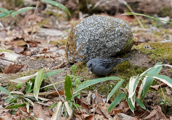 20210512クロジ-13