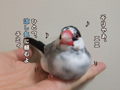 いざ、夏支度4-そりゃぁエエ