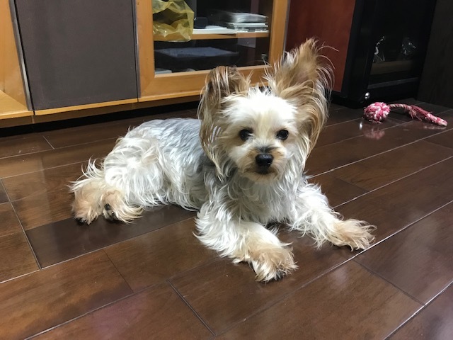 退屈させ過ぎて,ごめんねメイちゃん