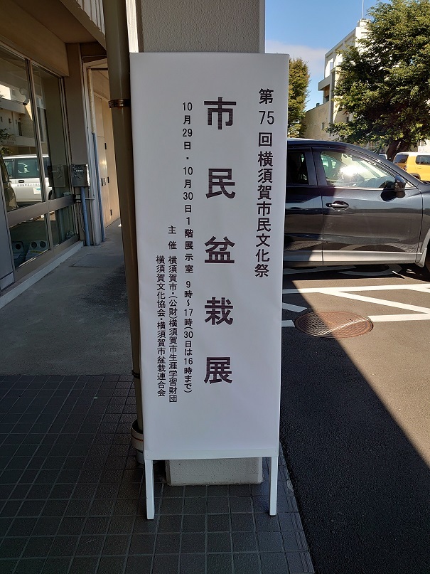 01展示 (1)