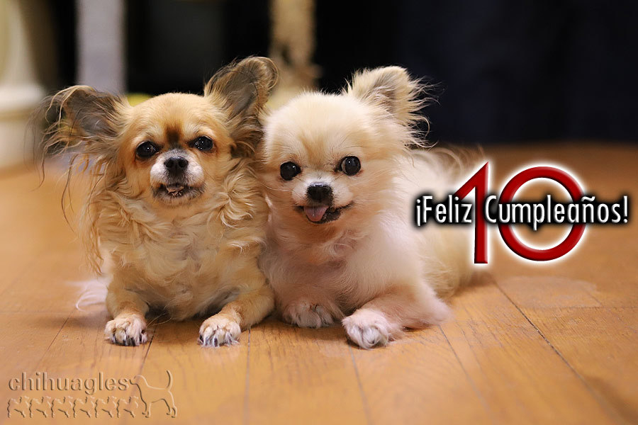 大台というステップへ