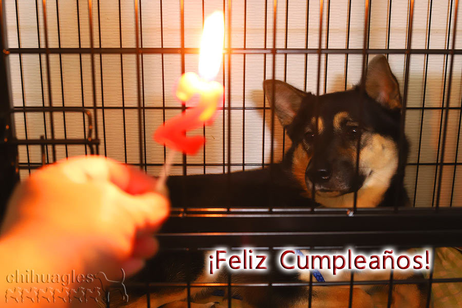 祝えるというのは嬉しいものだ