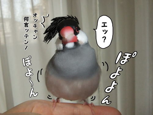 明日のヂョー2-えっ?