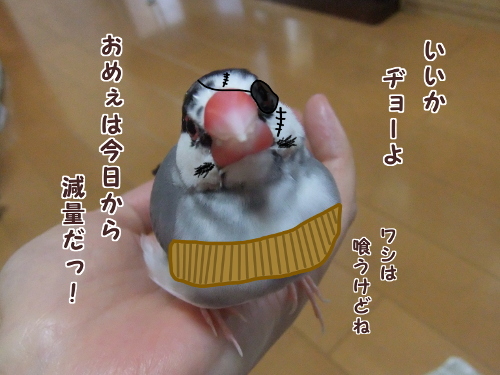 明日のヂョー3-減量だ!