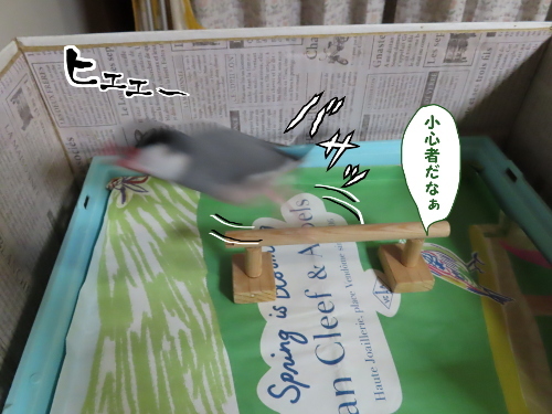 可愛さよりも糧を10-小心者