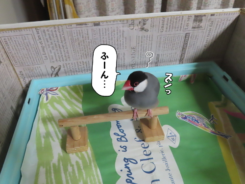 可愛さよりも糧を2ふーん