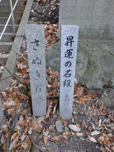 IMG_20221225_202151_(1080_x_1440_ピクセル)