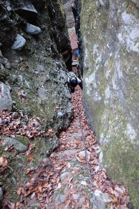 IMG_20241210_072552_(400_x_600_ピクセル)