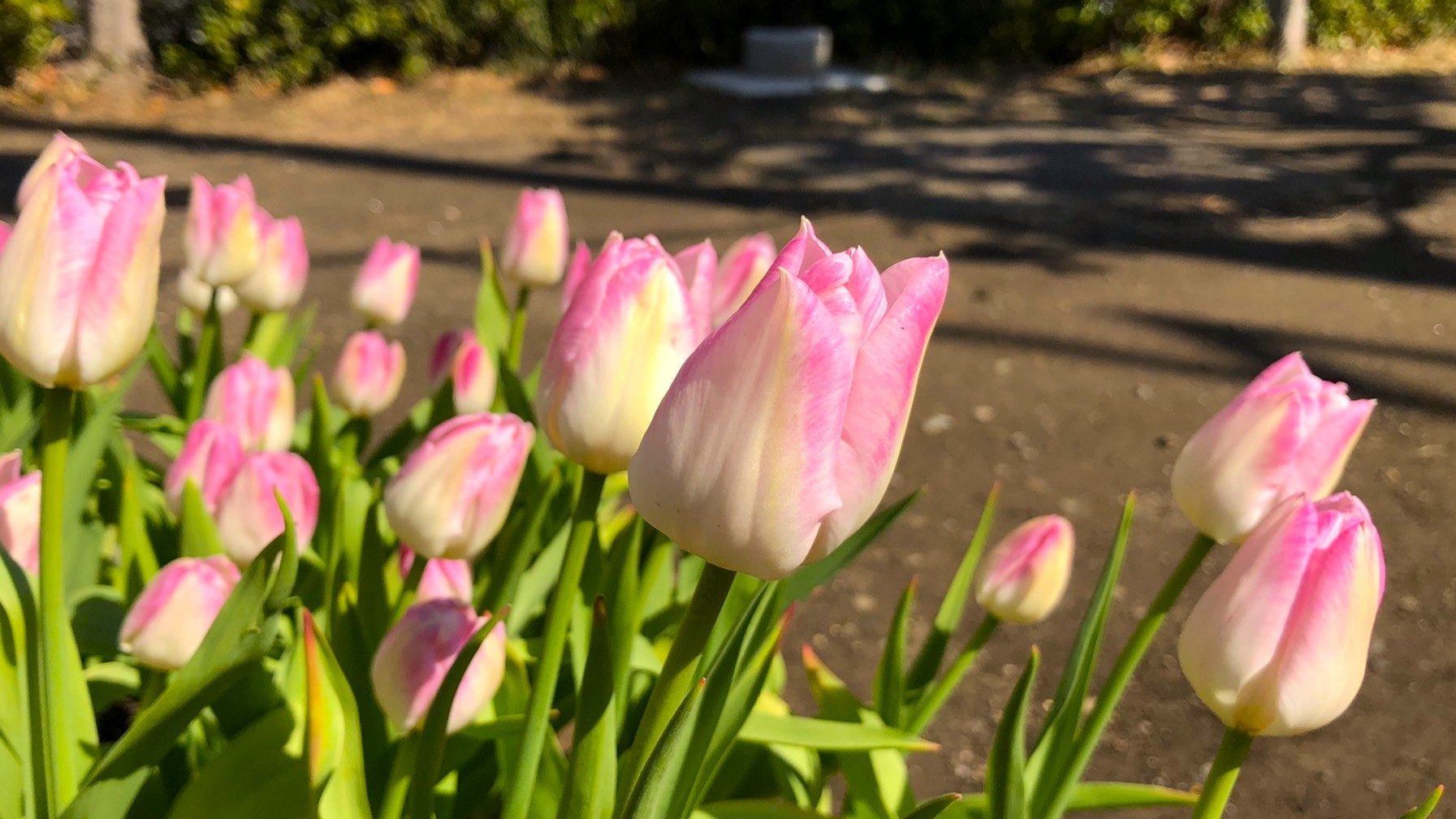 012IMG_4053_1ファーストクラス