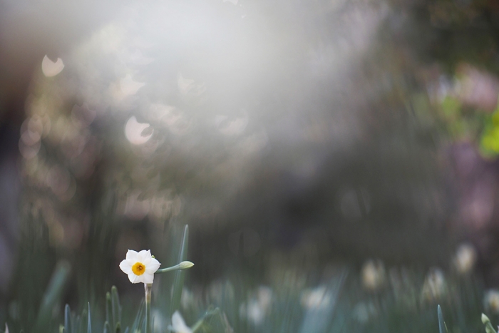 547_01EF3_250101 108a