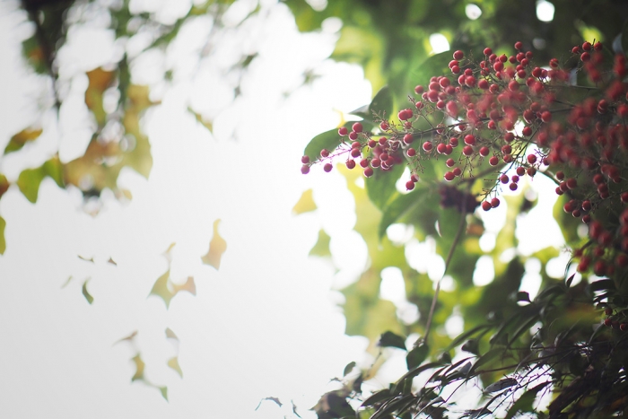 547_02EF3_241119 007b