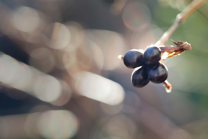 547_04EF3_250118 003