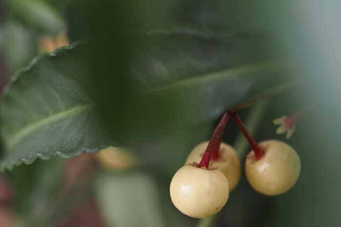 547_05EF3_250119 006