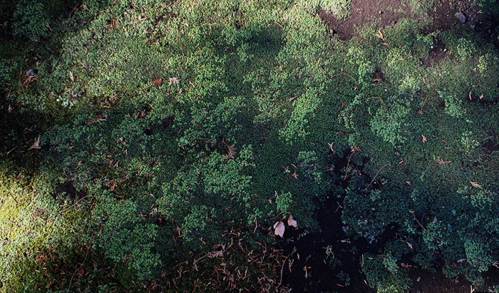 547_06EMT_241226 005