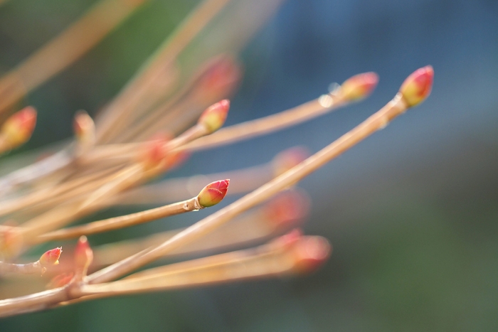 547_07EF3_250118 004