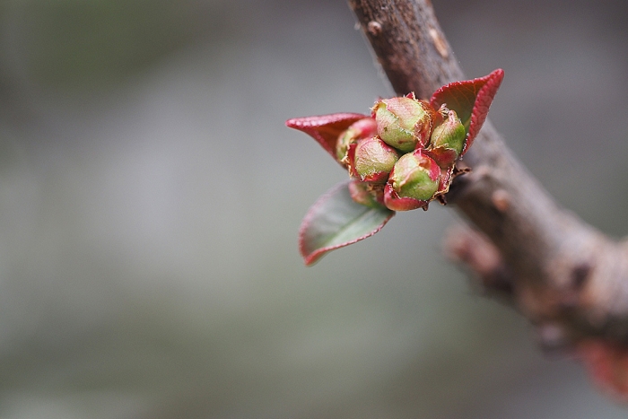 547_08EF3_250119 005