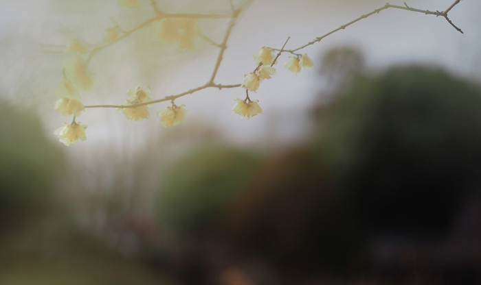 547_10EF3_250125 001c