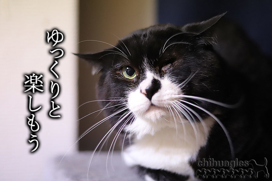 理由などなくていい