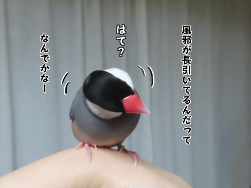 休み2-なんでかなー