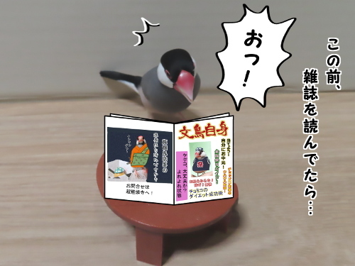 自分へのお中元8-雑誌読んでたら