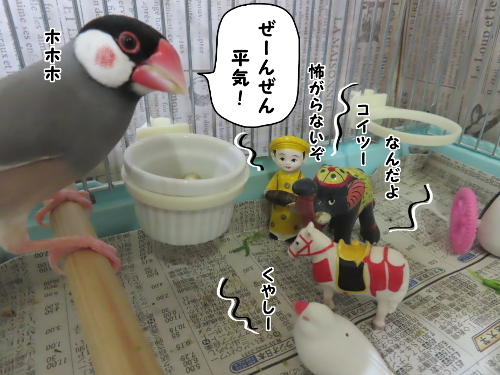 チョミリンズ5嫌がらせ作戦8-全然平気