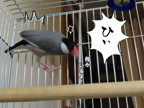 チョミリンズ5嫌がらせ作戦5-ひぃ!