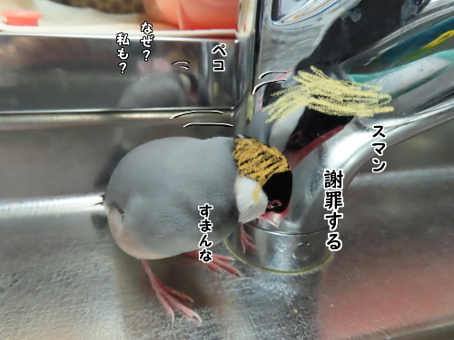 三者会談10-謝罪