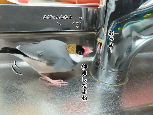 三者会談11-仲良しさん