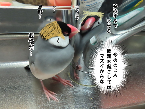 三者会談13-我慢くらべ